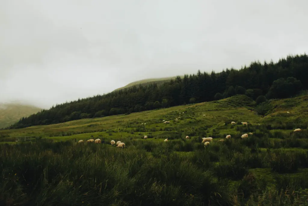 Scotland Nomads