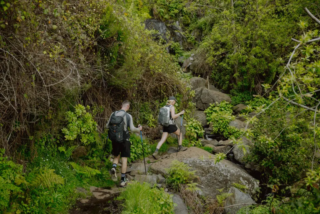 Madeira Trail
